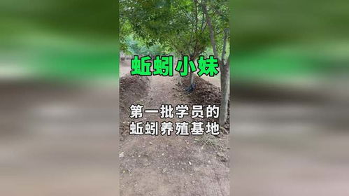 泥土里的金矿 第一批学员的蚯蚓养殖基地纪实