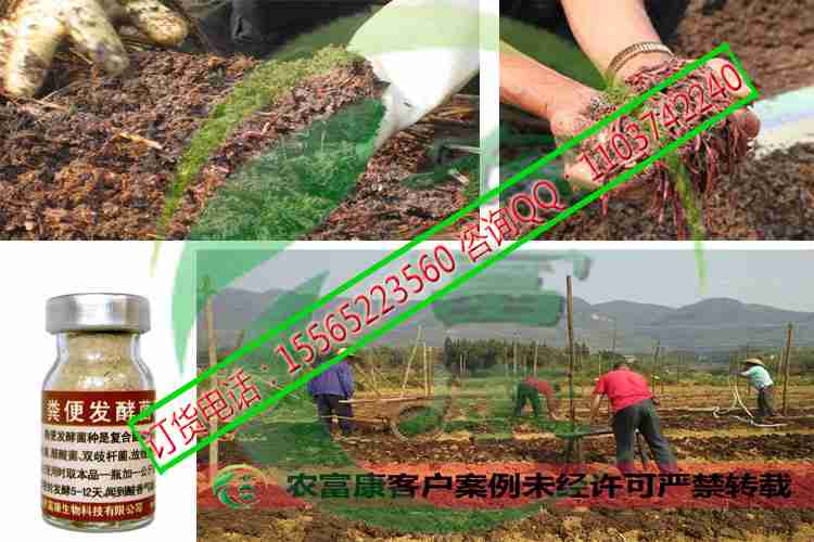 蚯蚓养殖发酵料制作全攻略 益生菌助力高效养殖