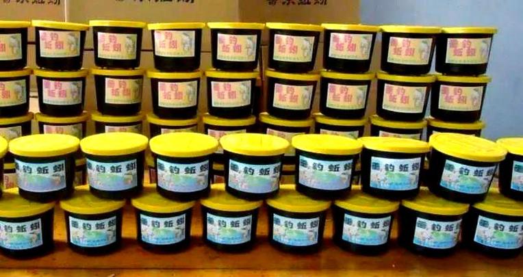 从土壤改良到中医药:蚯蚓养殖的多元商机