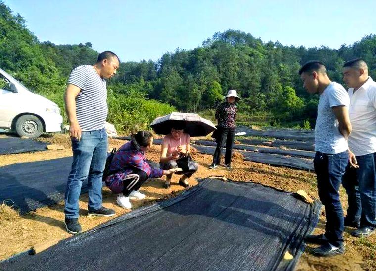 夏维英的蚯蚓养殖创业历程与扶贫行动